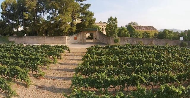 17 slaapkamer Hotel te koop in Santa Oliva met zwembad garage - € 8.000.000 (Ref: 8929716)