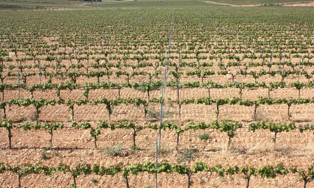 8 bedroom Finca/Country House for sale in Vila-rodona - € 4,600,000 (Ref: 8929717)