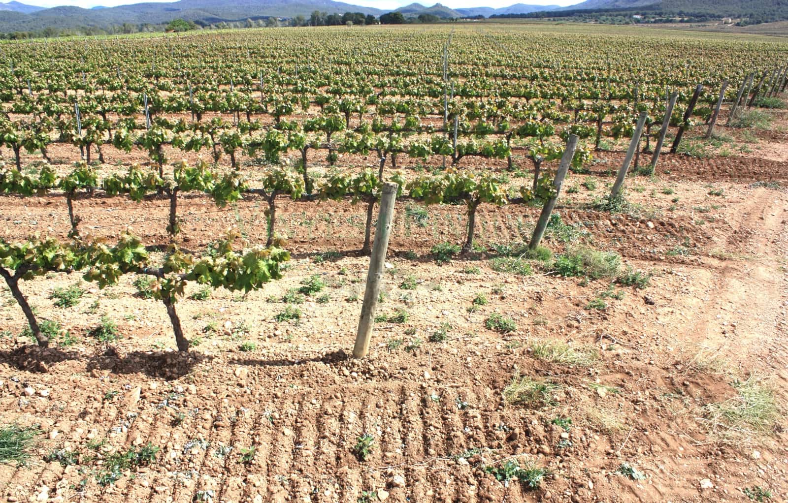 8 bedroom Finca/Country House for sale in Vila-rodona - € 4,600,000 (Ref: 8929717)