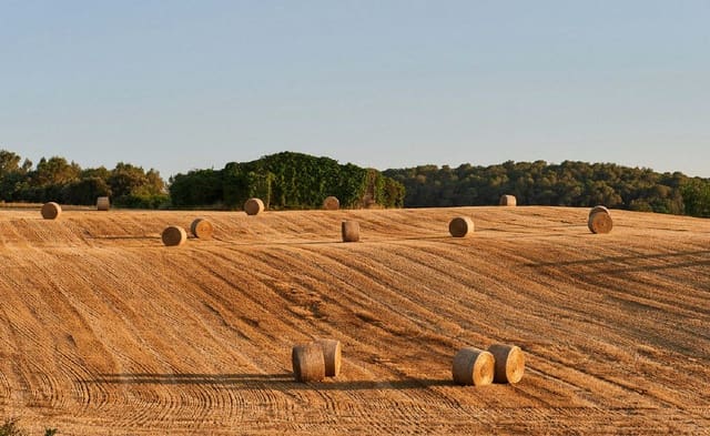 30 soveværelse Hotel til salg i Girona by med swimmingpool - € 9.000.000 (Ref: 9702480)