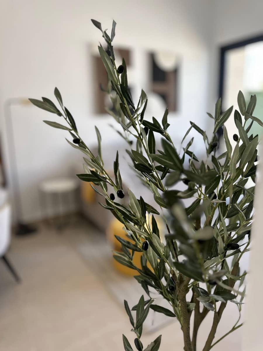 3 chambre Villa/Maison Mitoyenne à vendre à San Fulgencio - 349 900 € (Ref: 8700584)