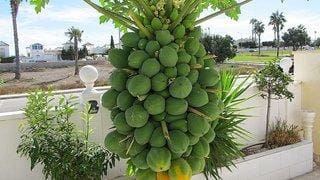 4 quarto Moradia para venda em Torrevieja com piscina - 320 000 € (Ref: 8894266)