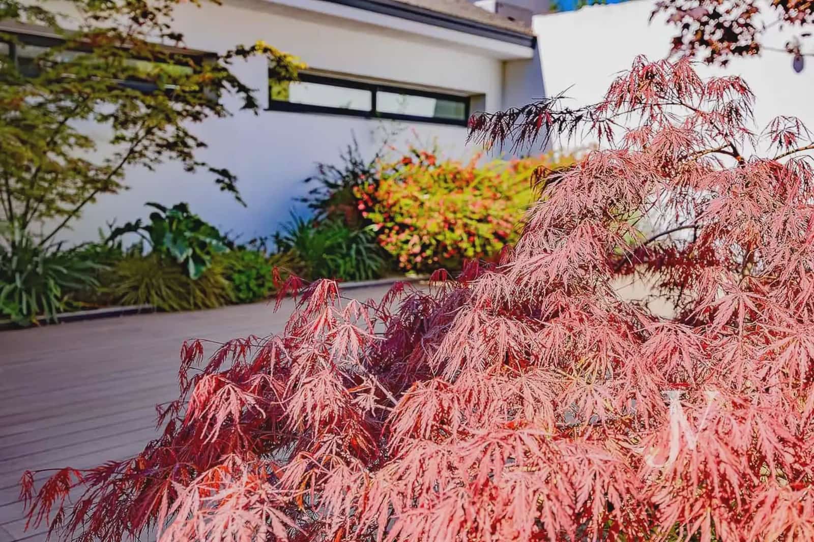 6 soverom Villa til salgs i Pozuelo de Alarcon med svømmebasseng garasje - € 5 900 000 (Ref: 9965608)