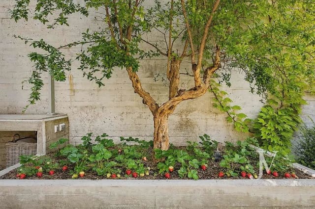 5 quarto Moradia para venda em Ciudad Universitaria, Madrid cidade com piscina garagem - 4 495 000 € (Ref: 9965620)