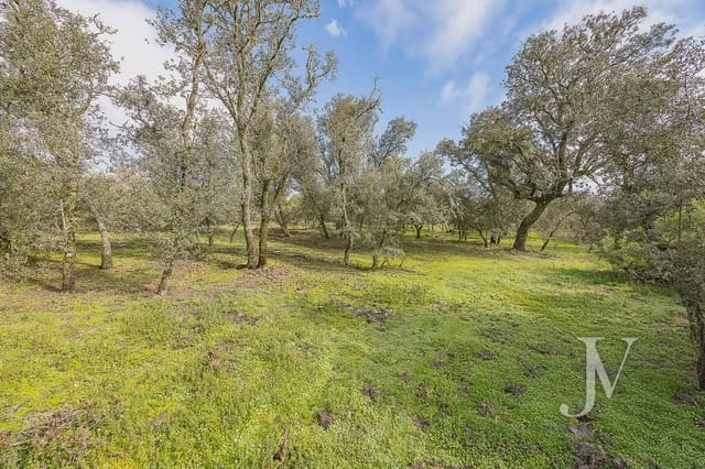 Bouwgrond te koop in Pozuelo de Alarcón - € 3.500.000 (Ref: 9965637)
