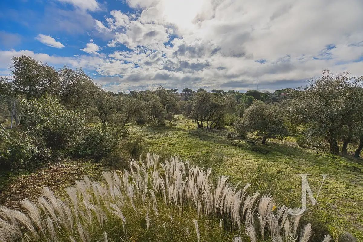 Bouwgrond te koop in Pozuelo de Alarcon - € 3.500.000 (Ref: 9965637)