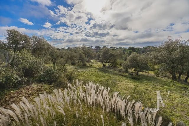 Bouwgrond te koop in Pozuelo de Alarcón - € 3.500.000 (Ref: 9965637)