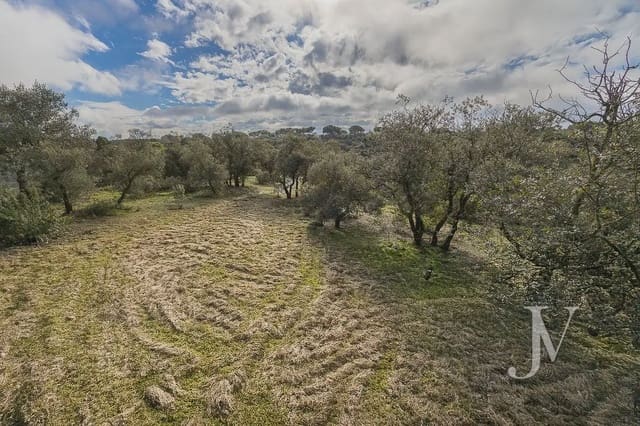 Bouwgrond te koop in Pozuelo de Alarcón - € 3.500.000 (Ref: 9965637)