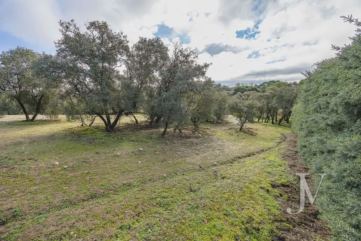 Bouwgrond te koop in Pozuelo de Alarcon - € 3.500.000 (Ref: 9965637)