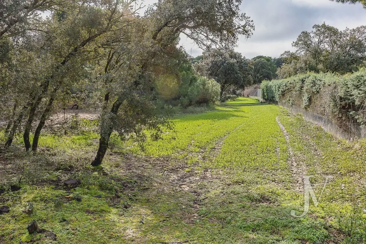 Bouwgrond te koop in Pozuelo de Alarcon - € 3.500.000 (Ref: 9965637)