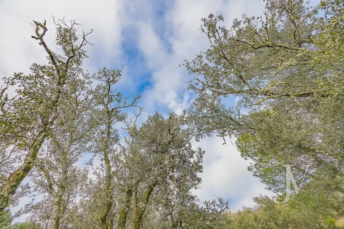 Bouwgrond te koop in Pozuelo de Alarcon - € 3.500.000 (Ref: 9965637)