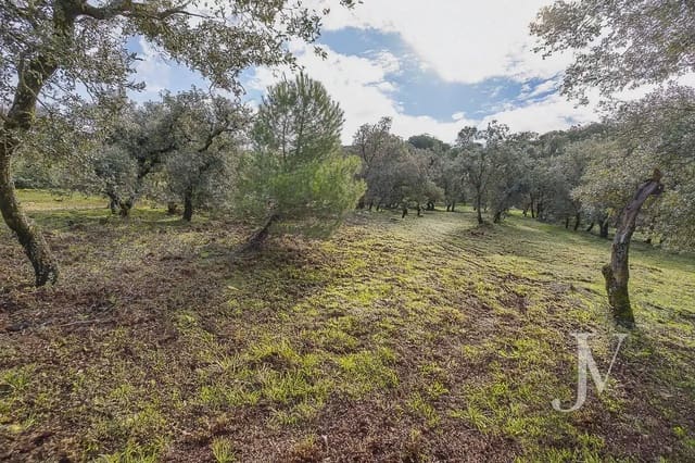Bouwgrond te koop in Pozuelo de Alarcón - € 3.500.000 (Ref: 9965637)