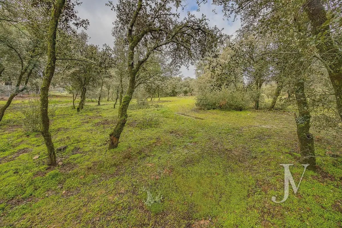 Bouwgrond te koop in Pozuelo de Alarcon - € 3.500.000 (Ref: 9965637)