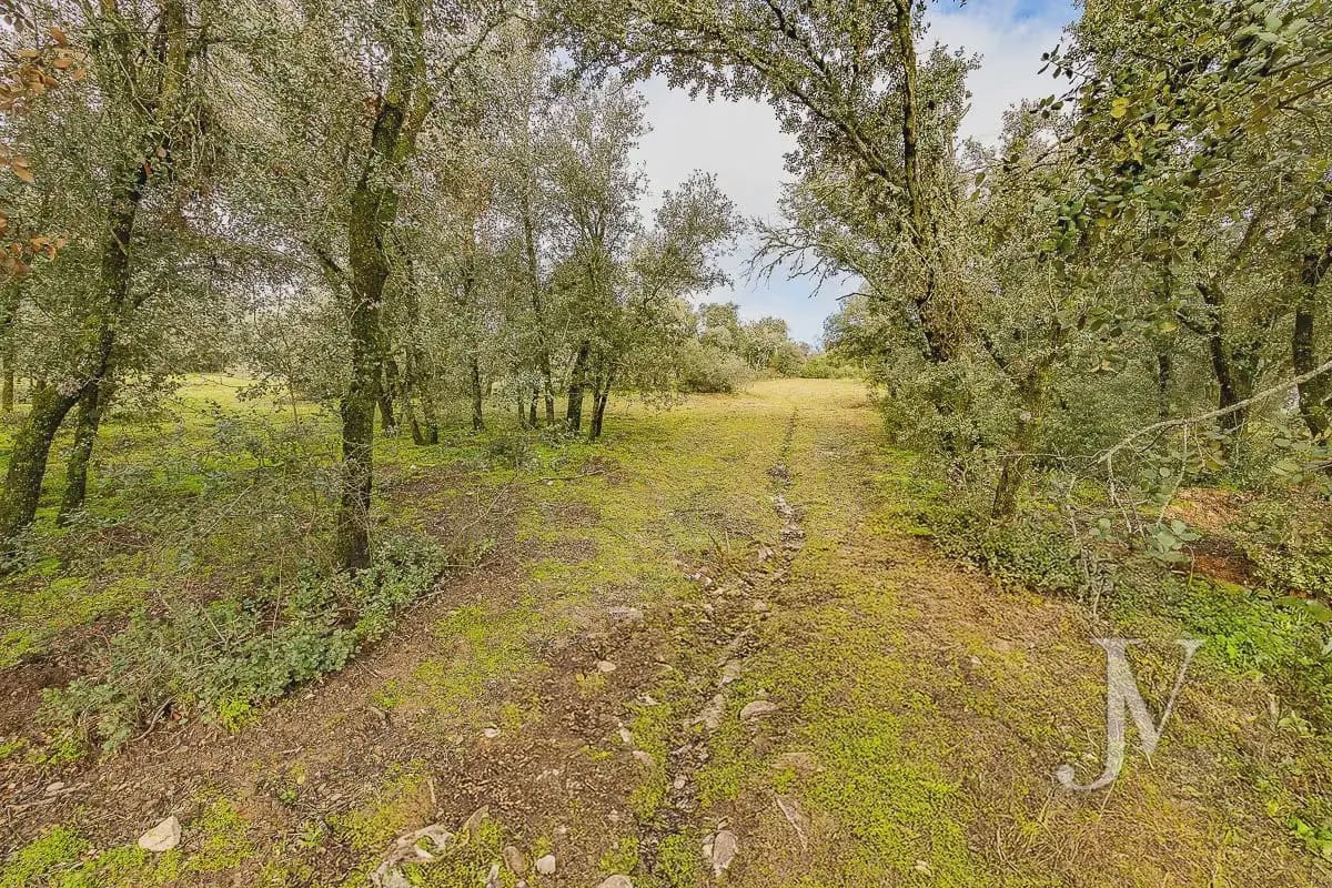 Bouwgrond te koop in Pozuelo de Alarcon - € 3.500.000 (Ref: 9965637)