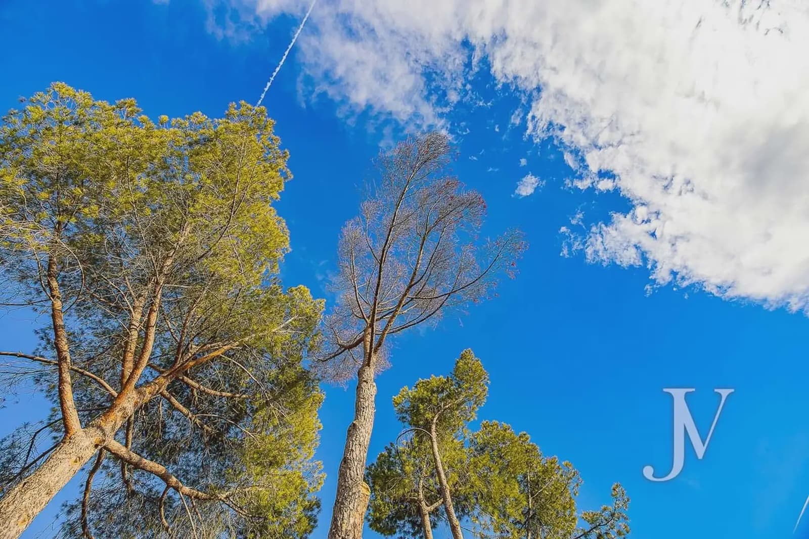 Building Plot for sale in La Moraleja - € 6,500,000 (Ref: 9965650)