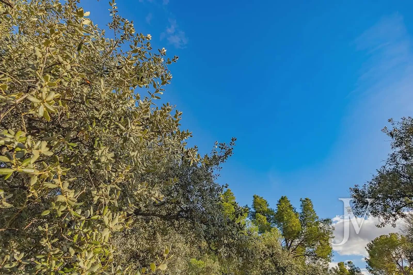 Building Plot for sale in La Moraleja - € 6,500,000 (Ref: 9965650)