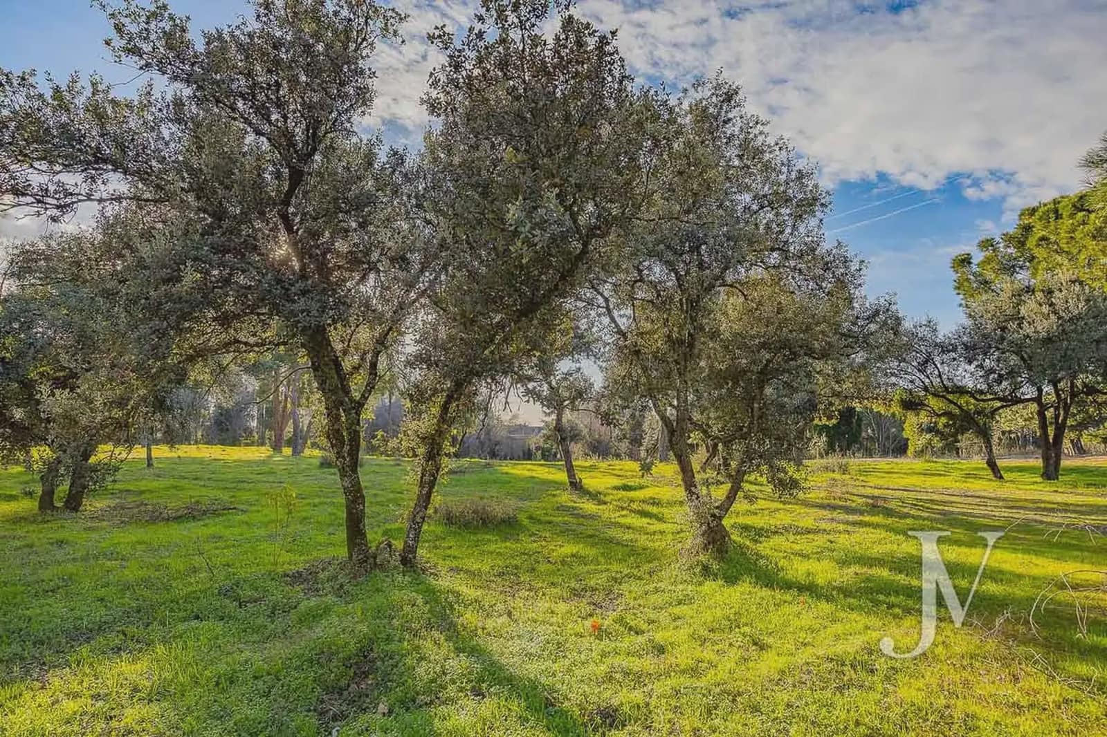 Building Plot for sale in La Moraleja - € 6,500,000 (Ref: 9965650)