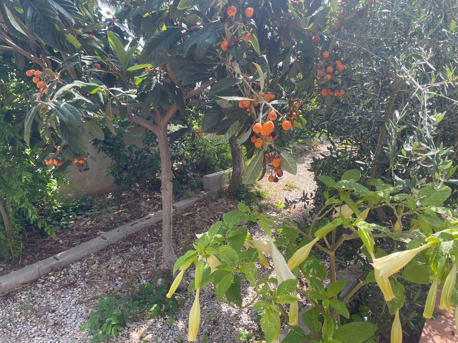 3 slaapkamer Villa te koop in Peniscola - € 318.000 (Ref: 8585265)