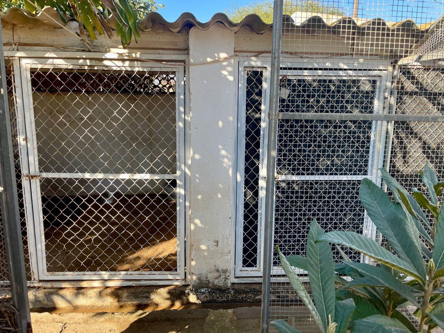 5 bedroom Villa for sale in Benicarlo - € 349,800 (Ref: 8585268)