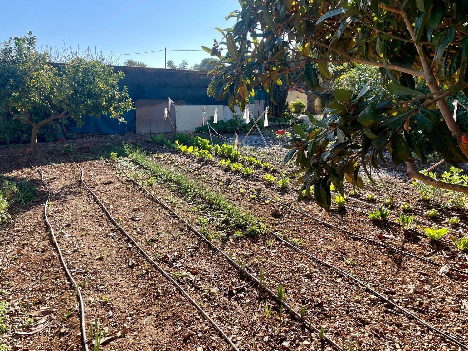 5 bedroom Villa for sale in Benicarlo - € 349,800 (Ref: 8585268)