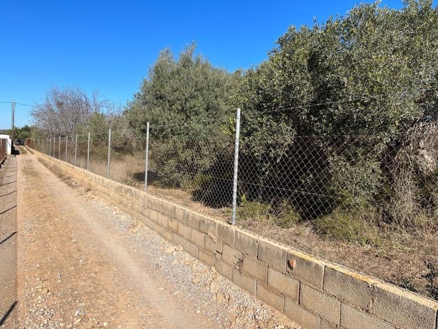 1 chambre Finca/Maison de Campagne à vendre à Benicarló - 90 000 € (Ref: 8585273)