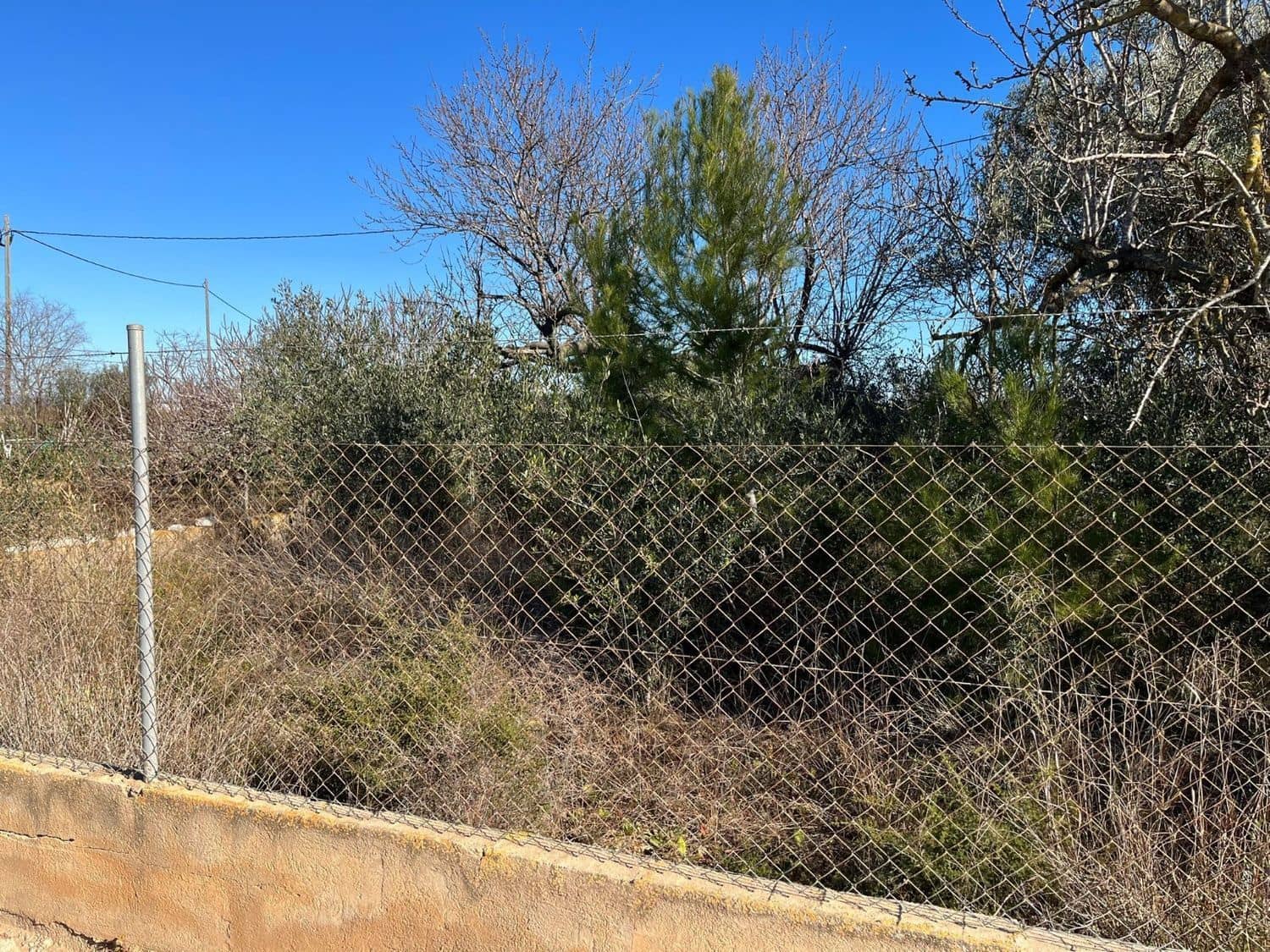 1 chambre Finca/Maison de Campagne à vendre à Benicarlo - 90 000 € (Ref: 8585273)