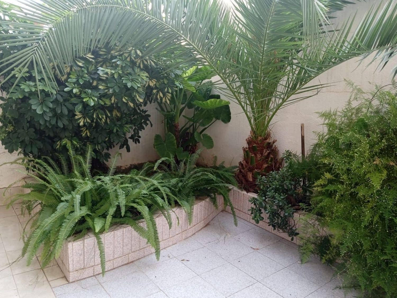 4 camera da letto Casa in vendita in Benicarlo con garage - 380.000 € (Rif: 8585278)