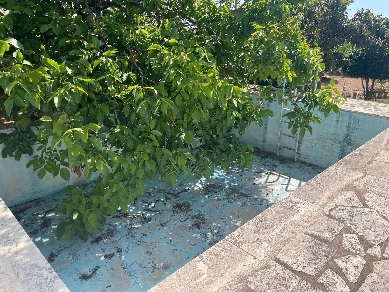 3 bedroom Villa for sale in Benicarlo with pool - € 280,000 (Ref: 8585287)