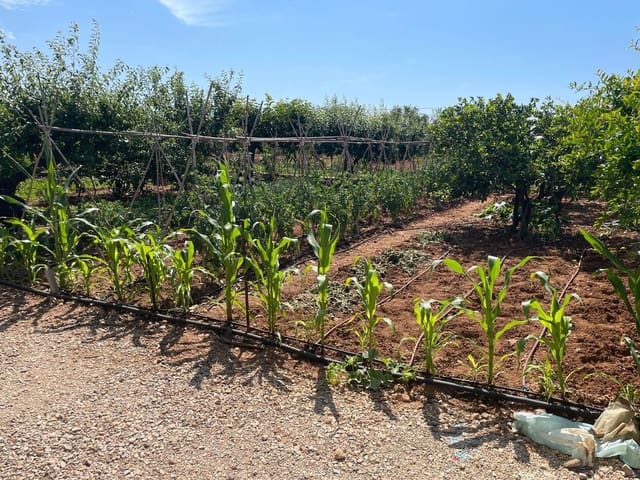 3 camera da letto Villa in vendita in Benicarló con piscina - 280.000 € (Rif: 8585287)