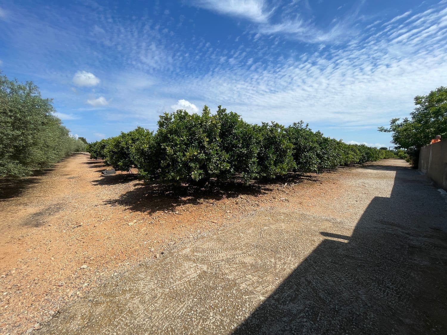 3 bedroom Villa for sale in Benicarlo with pool - € 280,000 (Ref: 8585287)