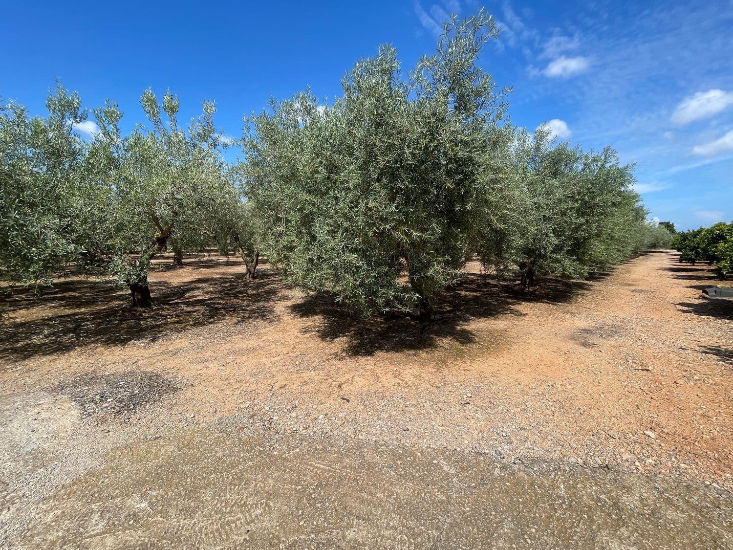 3 bedroom Villa for sale in Benicarlo with pool - € 280,000 (Ref: 8585287)