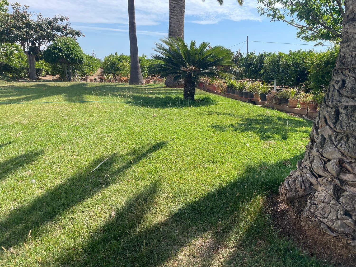 3 bedroom Villa for sale in Benicarlo with pool - € 280,000 (Ref: 8585287)