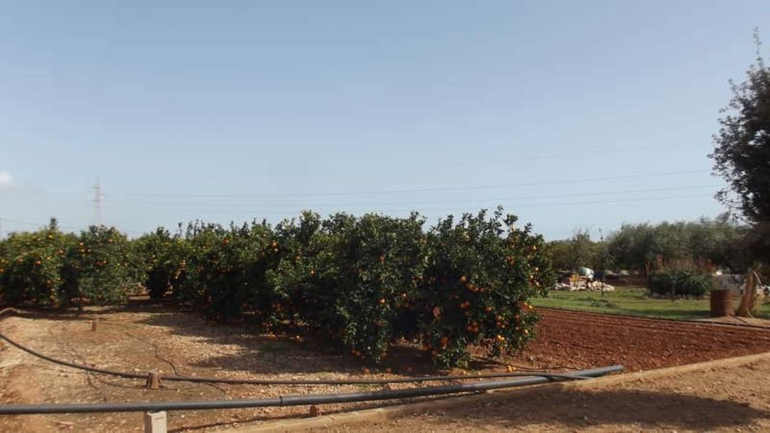 3 bedroom Villa for sale in Peniscola - € 250,000 (Ref: 8585311)