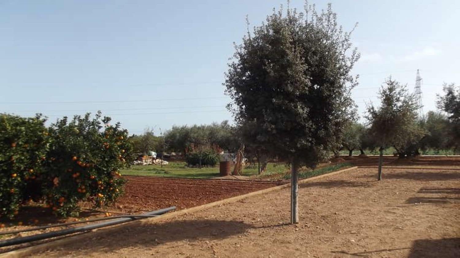 3 bedroom Villa for sale in Peniscola - € 250,000 (Ref: 8585311)