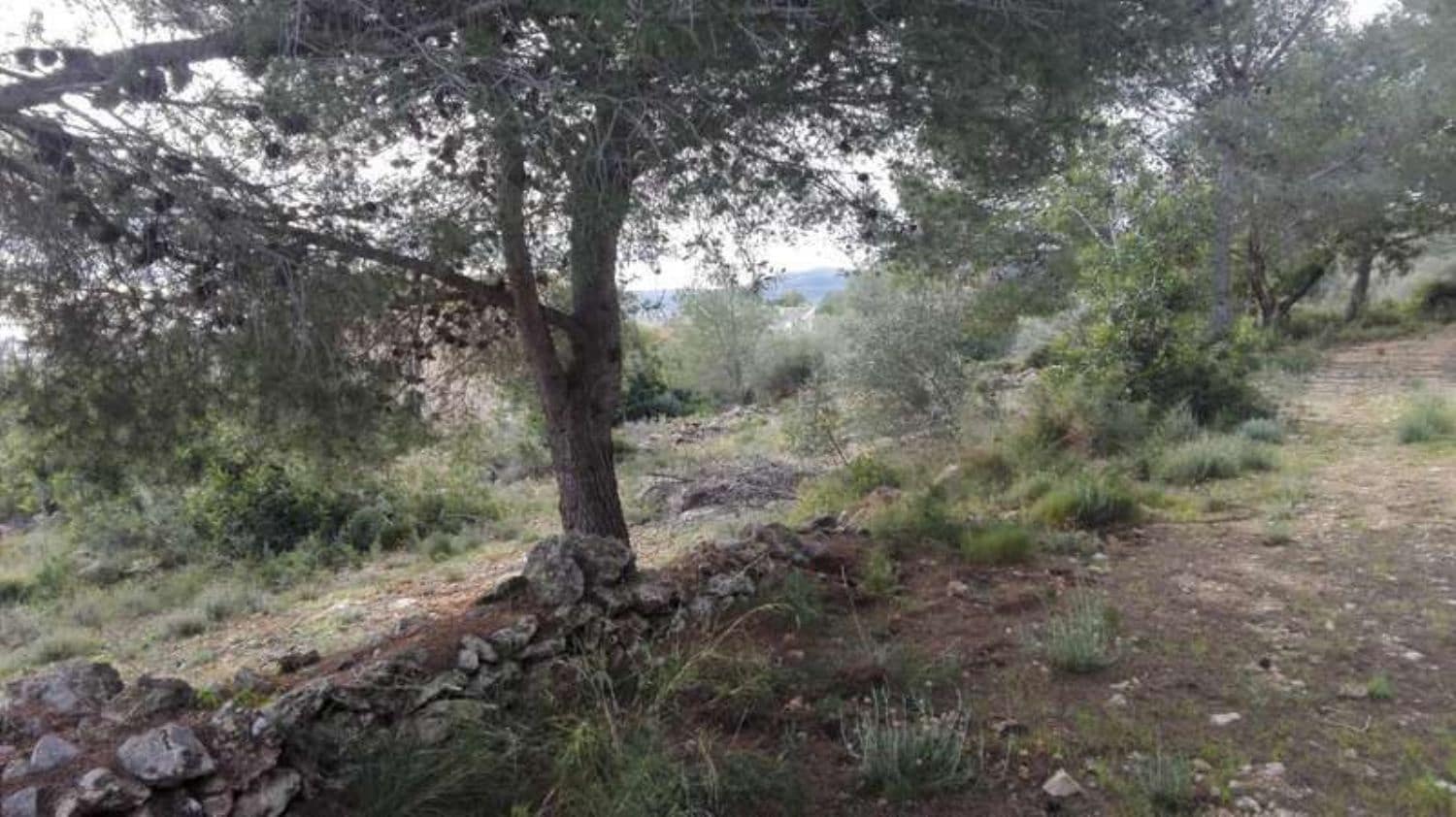 Undeveloped Land for sale in Benicarlo - € 45,000 (Ref: 8585313)