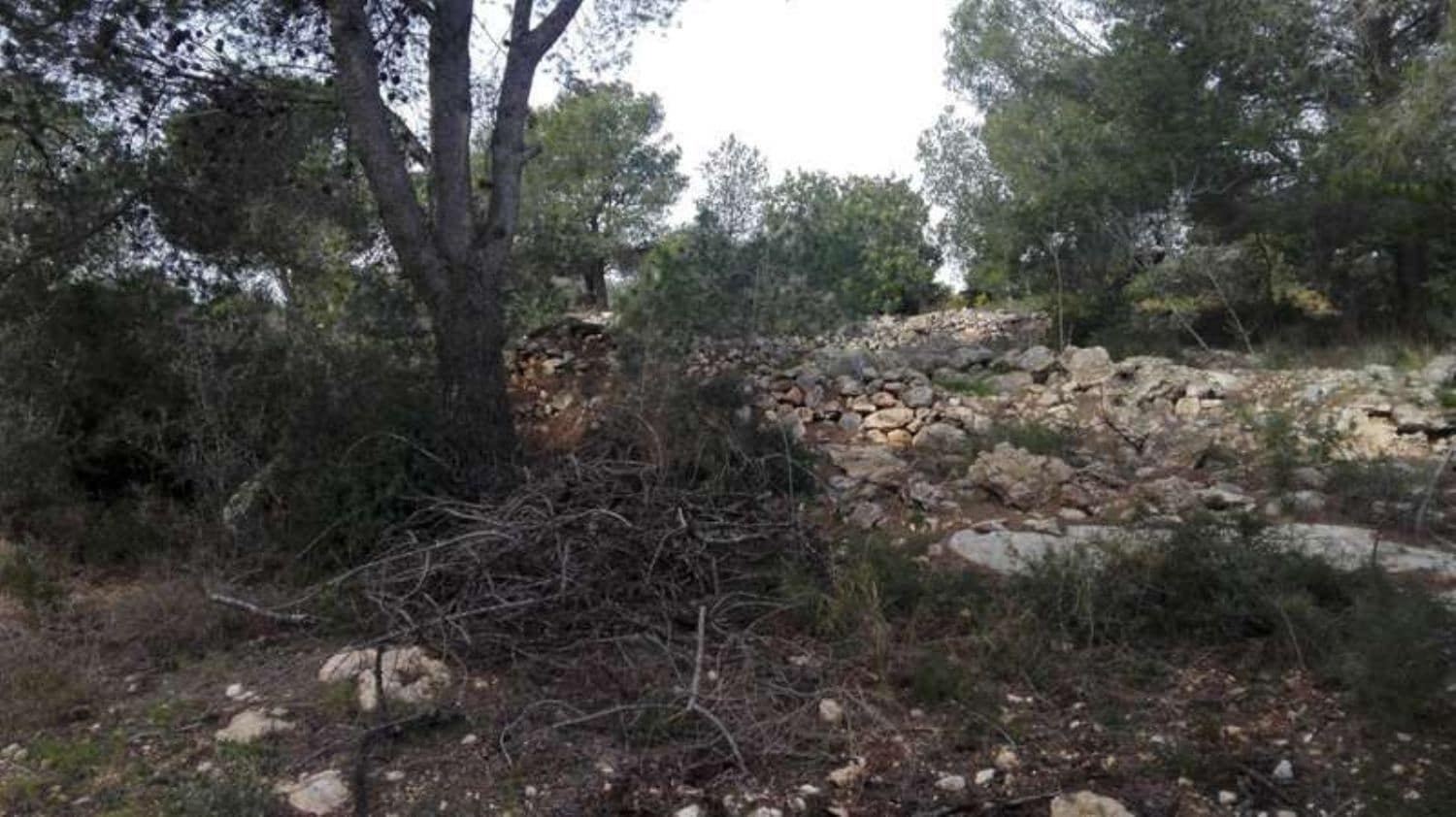 Undeveloped Land for sale in Benicarlo - € 45,000 (Ref: 8585313)