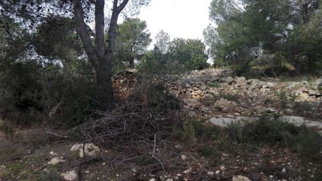 Grunde uden byggetilladelser til salg i Benicarló - € 45.000 (Ref: 8585313)