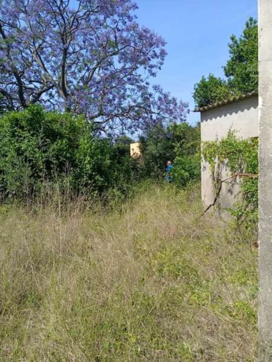 4 bedroom Villa for sale in Benicarlo - € 165,000 (Ref: 8585315)