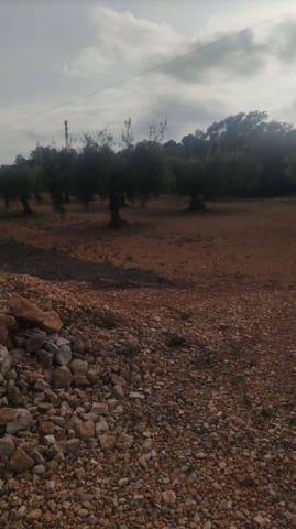 Grunde uden byggetilladelser til salg i Benicarló - € 27.000 (Ref: 9591833)