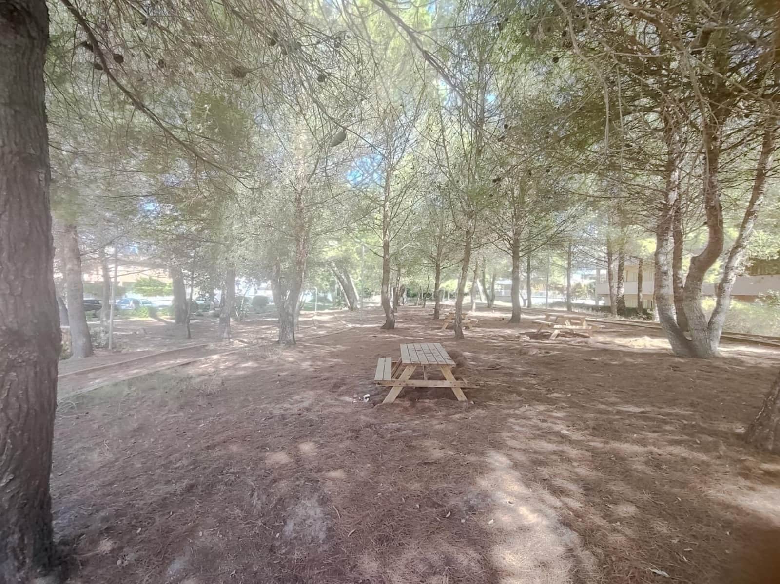 1 camera da letto Appartamento da affittare in Muro - 900 € (Rif: 10049289)