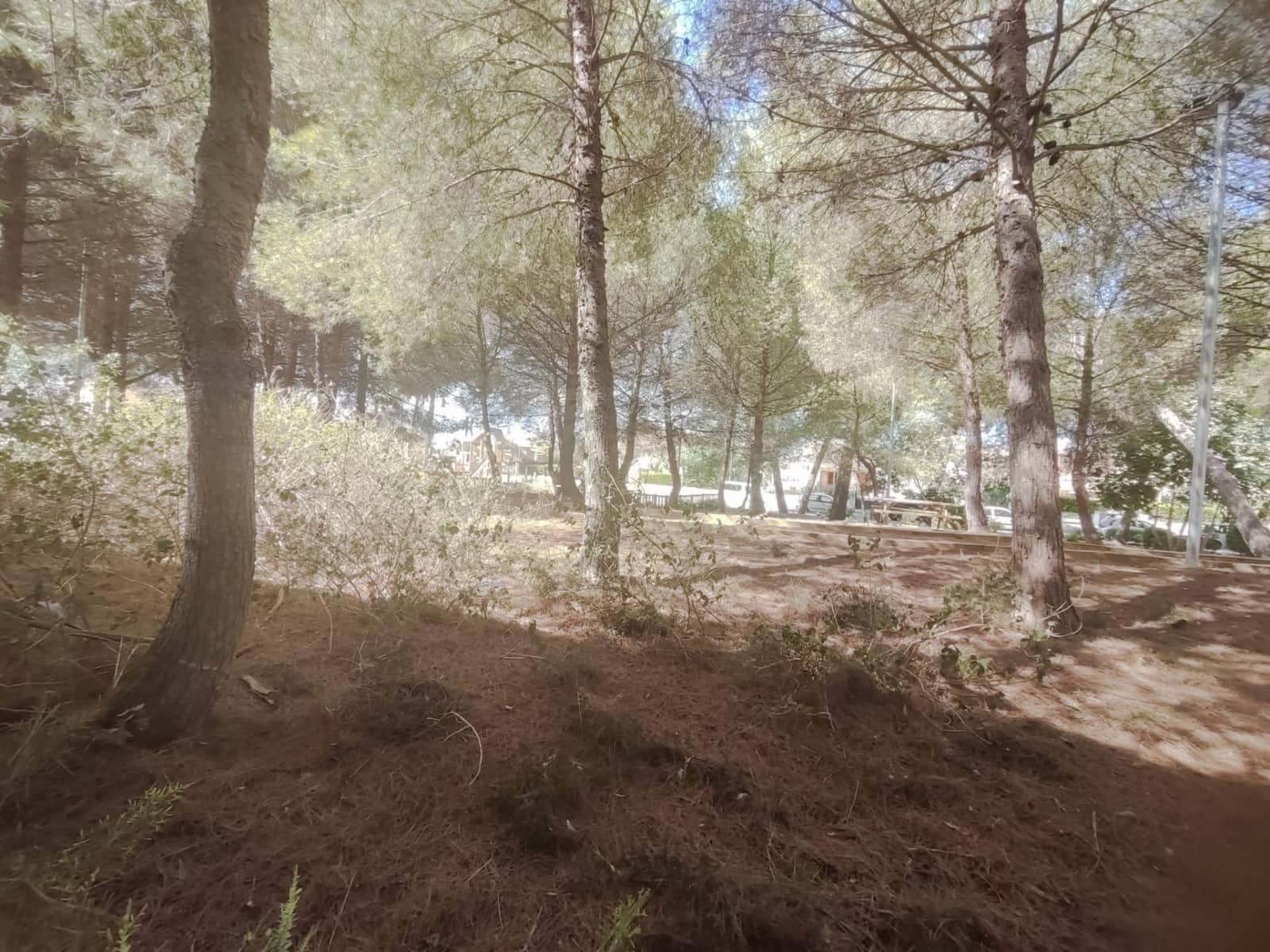 1 camera da letto Appartamento da affittare in Muro - 900 € (Rif: 10049289)