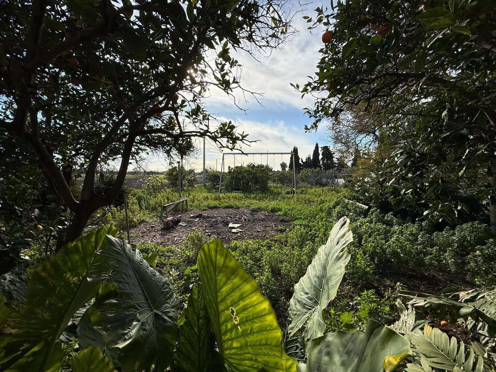 5 bedroom Finca/Country House for rent in El Pont d'Inca / Es Pont d'Inca with garage - € 1,800 (Ref: 9733459)