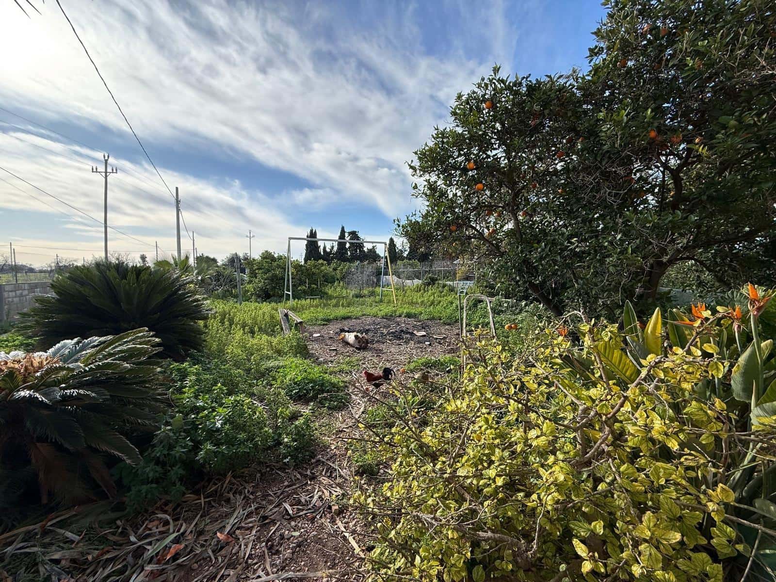 5 bedroom Finca/Country House for rent in El Pont d'Inca / Es Pont d'Inca with garage - € 1,800 (Ref: 9733459)