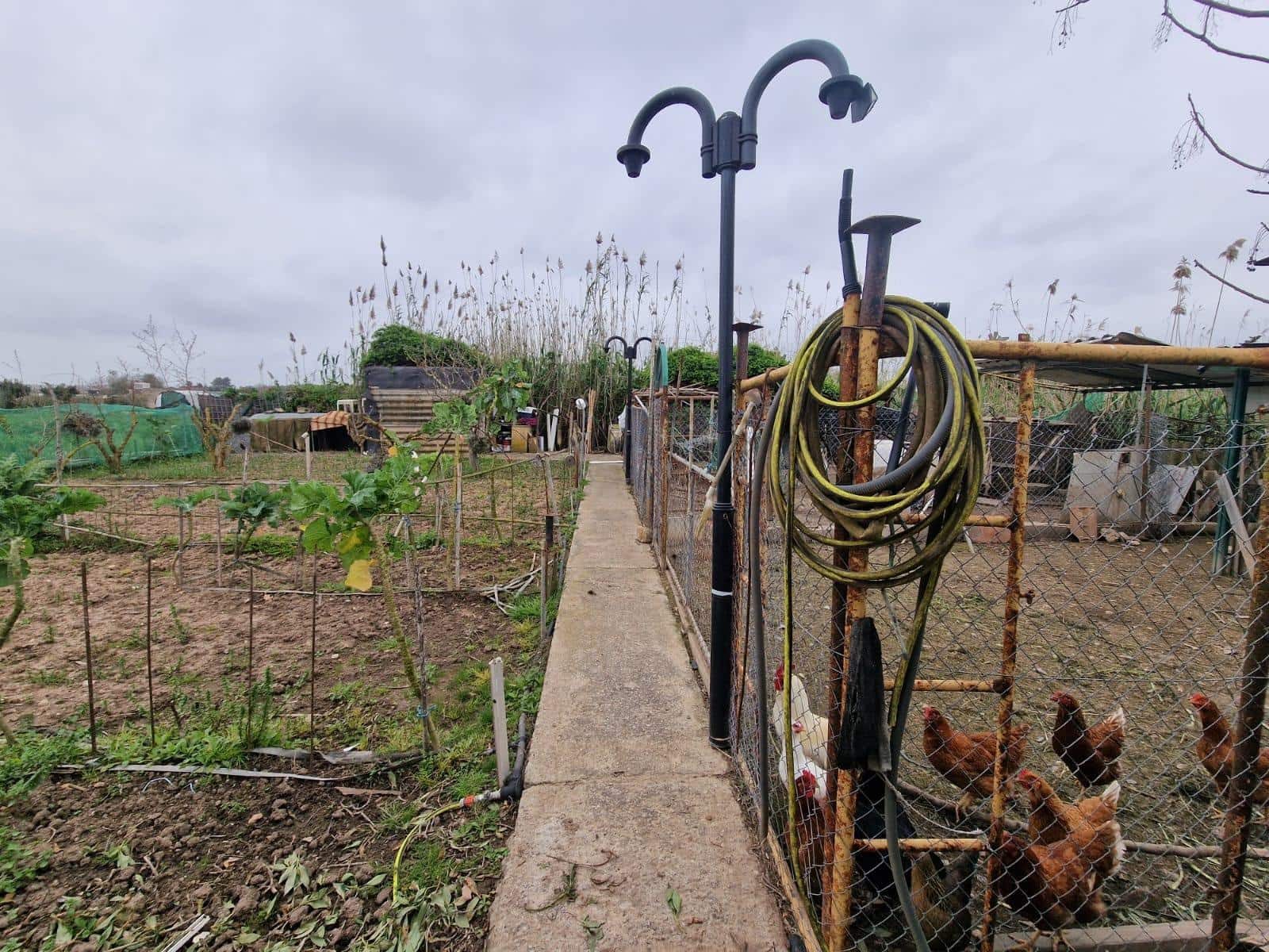 2 bedroom Finca/Country House for rent in Muro with garage - € 1,200 (Ref: 9733466)