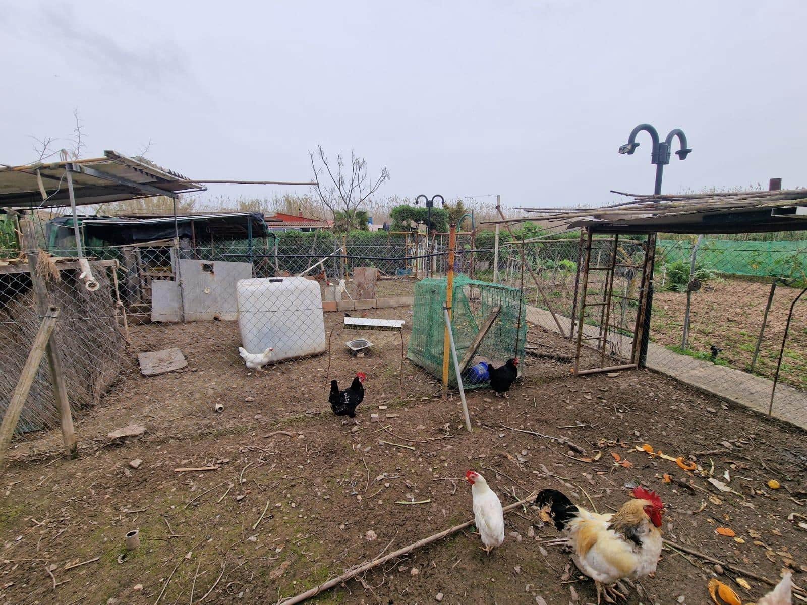 2 bedroom Finca/Country House for rent in Muro with garage - € 1,200 (Ref: 9733466)