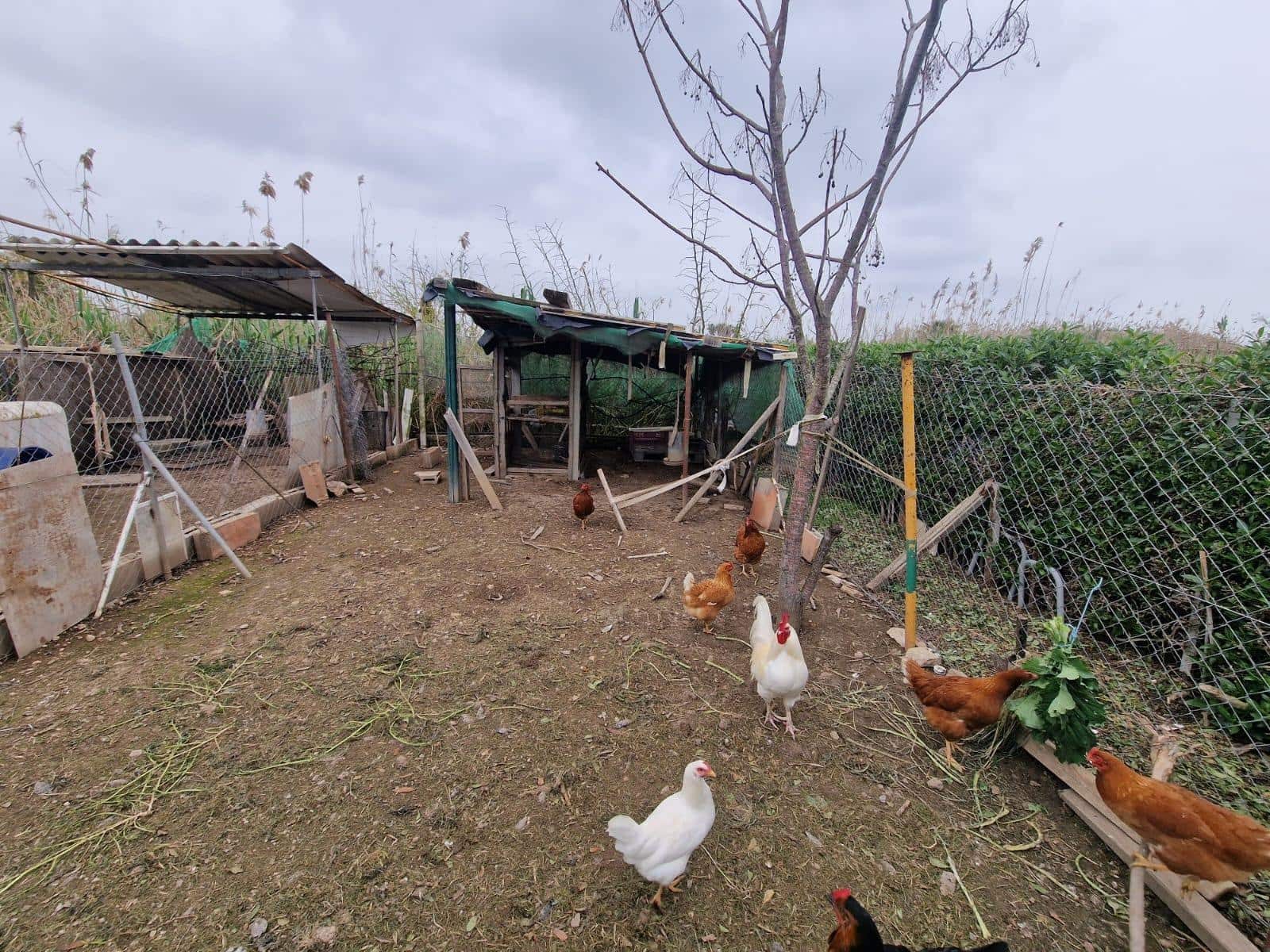 2 bedroom Finca/Country House for rent in Muro with garage - € 1,200 (Ref: 9733466)