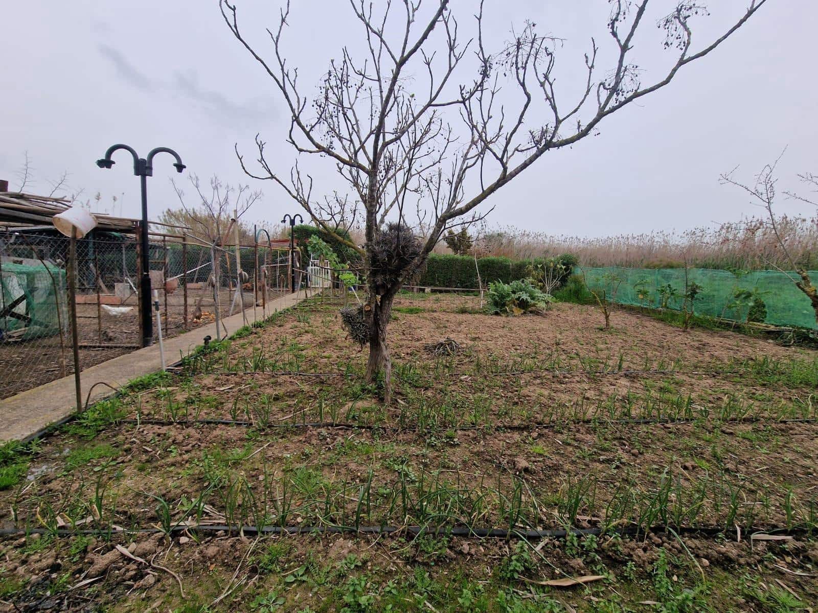 2 bedroom Finca/Country House for rent in Muro with garage - € 1,200 (Ref: 9733466)