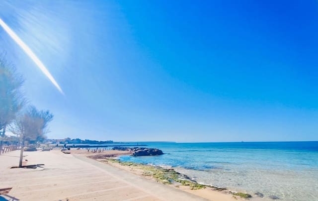 3 bedroom Flat for rent in Palma de Mallorca with garage - € 3,500 (Ref: 9855424)