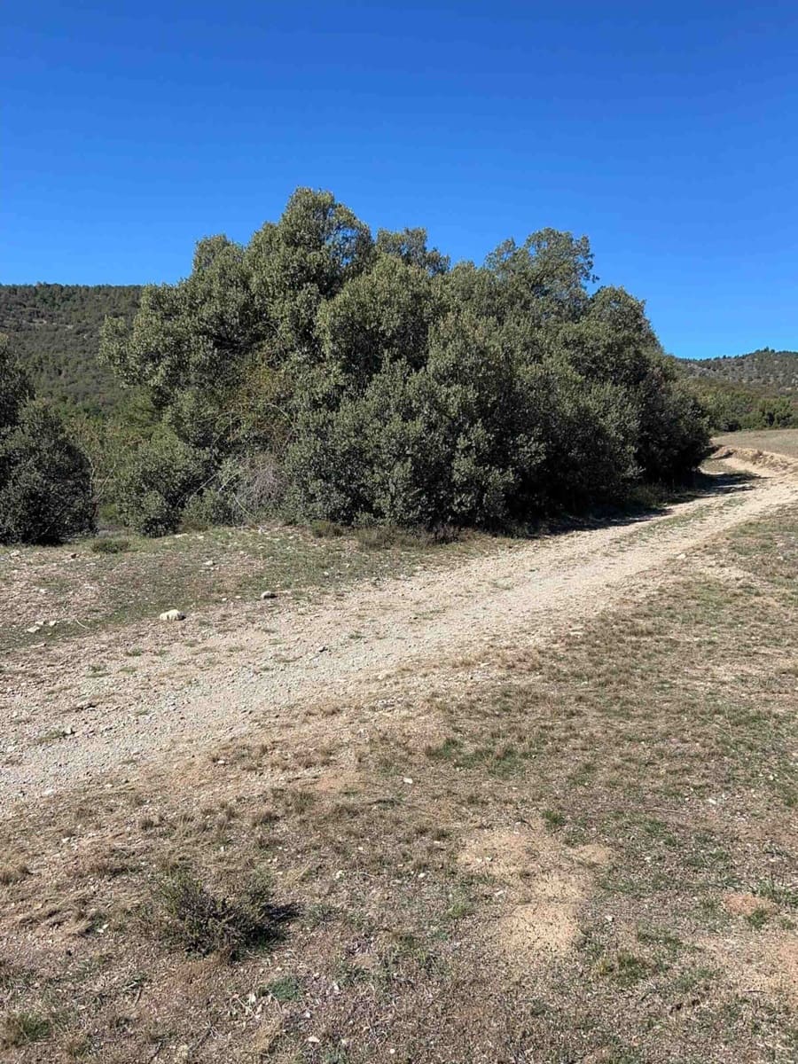 Finca/Landehus til salg i El Toro - € 416.000 (Ref: 9239269)