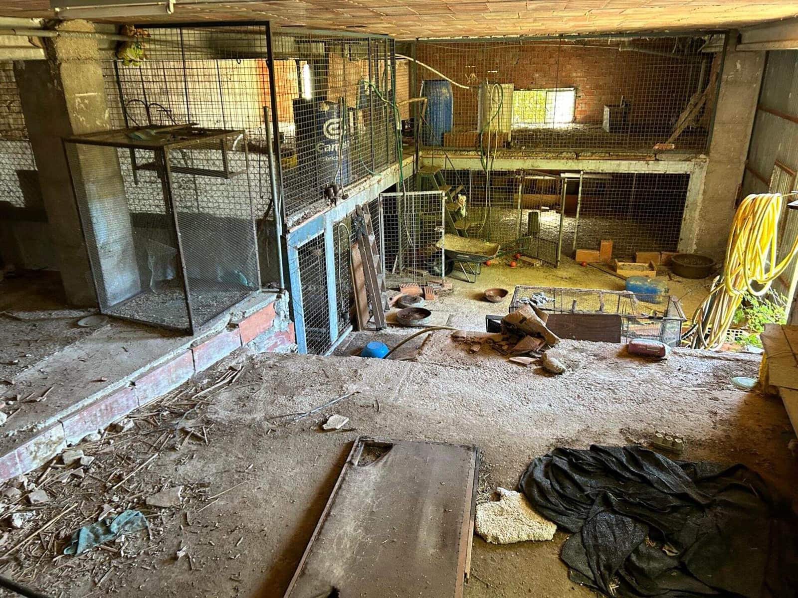 Finca/Landehus til salg i El Toro - € 416.000 (Ref: 9239269)